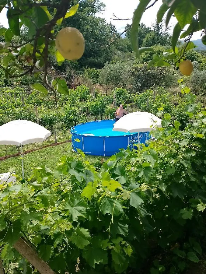 Villa Natura