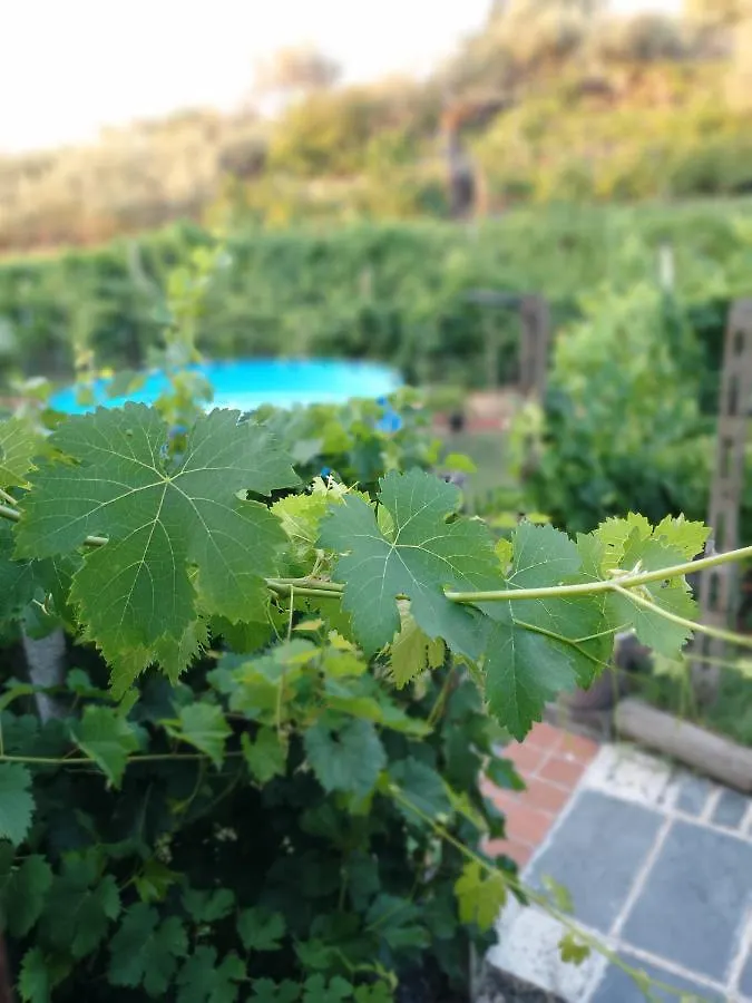 Villa Natura 0*, Piedimonte Etneo