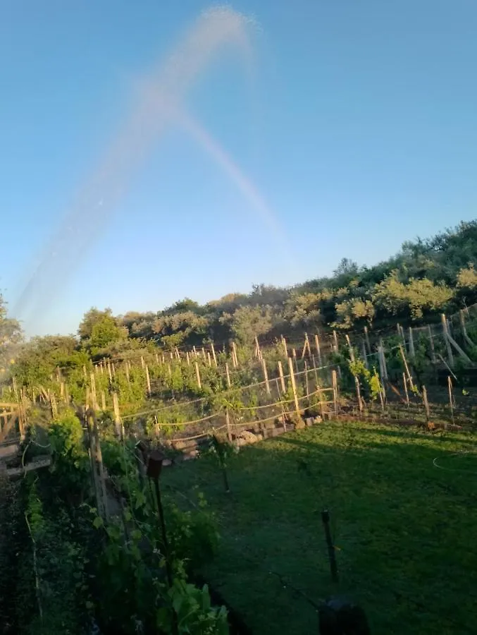 Villa Natura