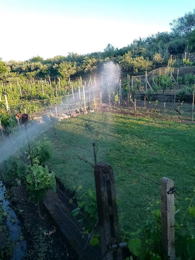 Holiday home Villa Natura