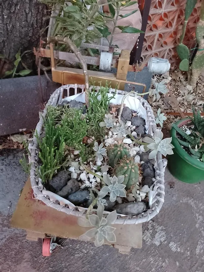 Villa Natura Holiday home Piedimonte Etneo